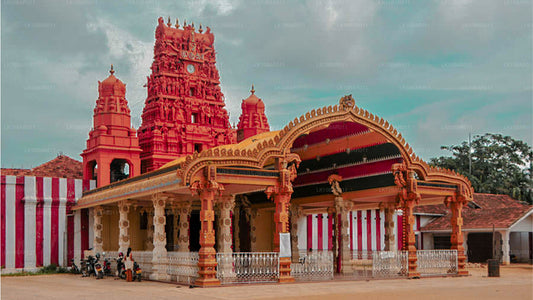 Fiesta del Ramayana (11 días)