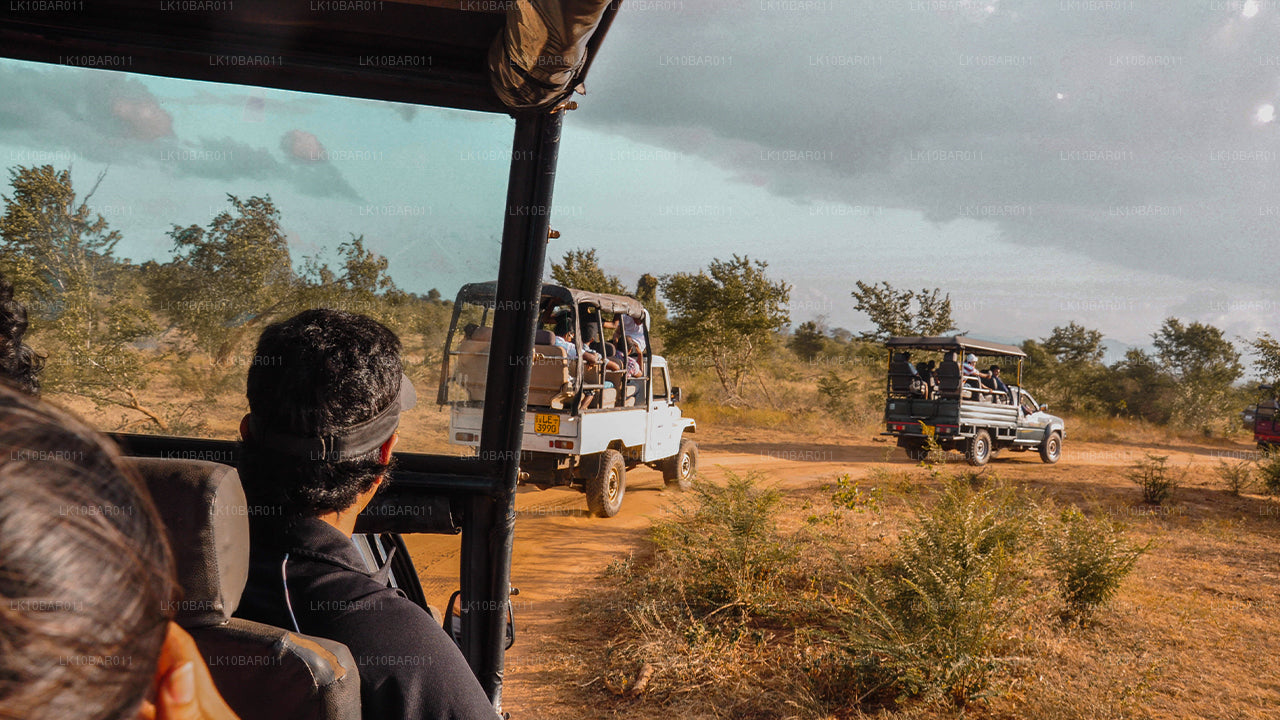 Fiesta del Ramayana (11 días)