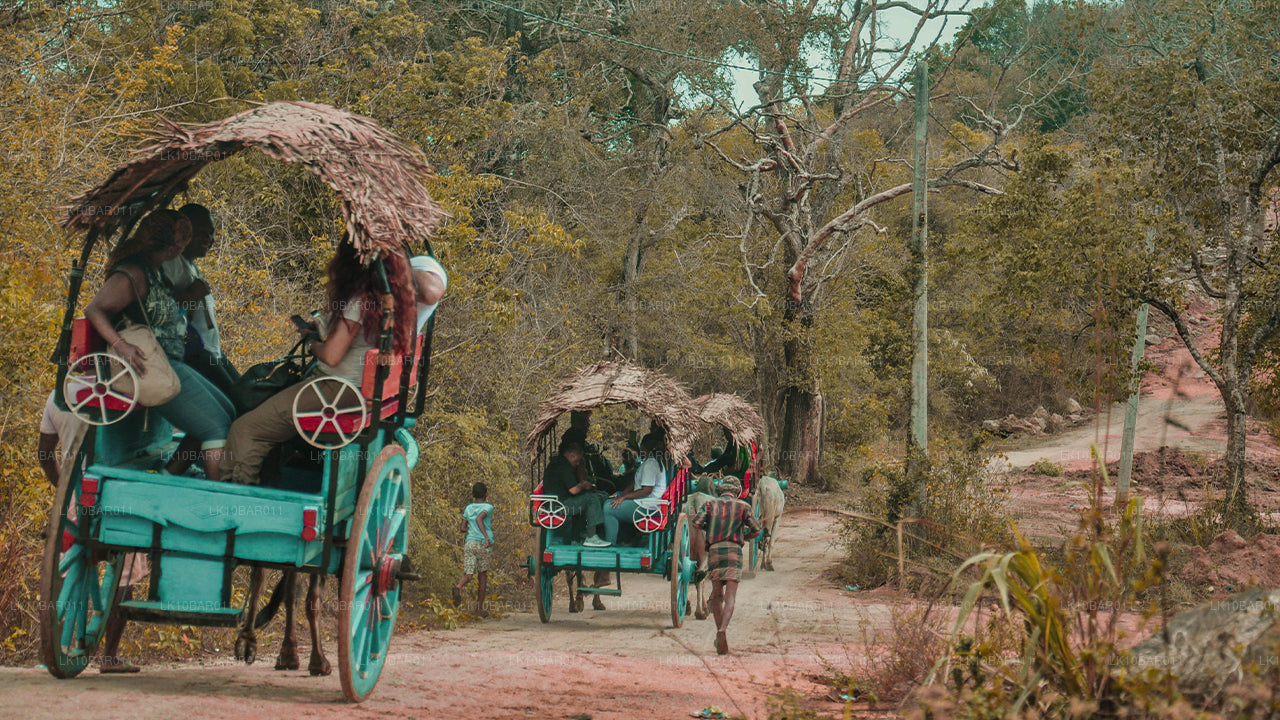 Fiesta del Ramayana (11 días)