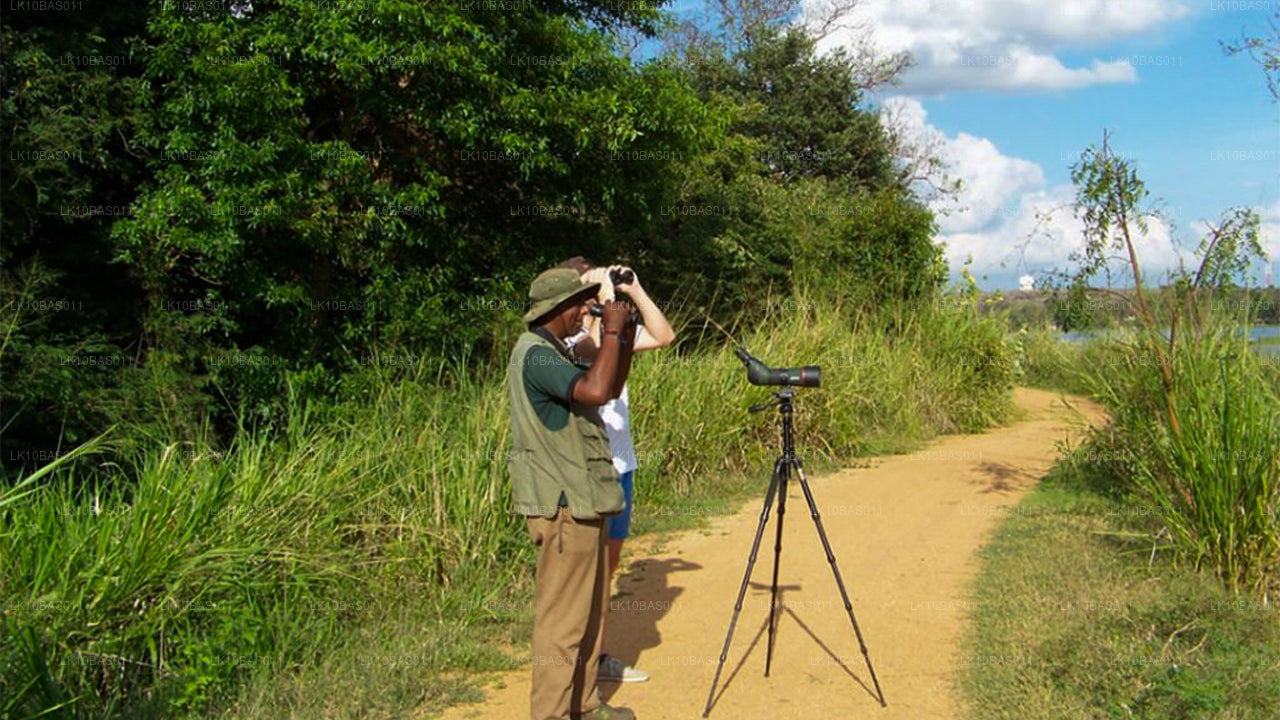 Butterfly Trail (11 días)