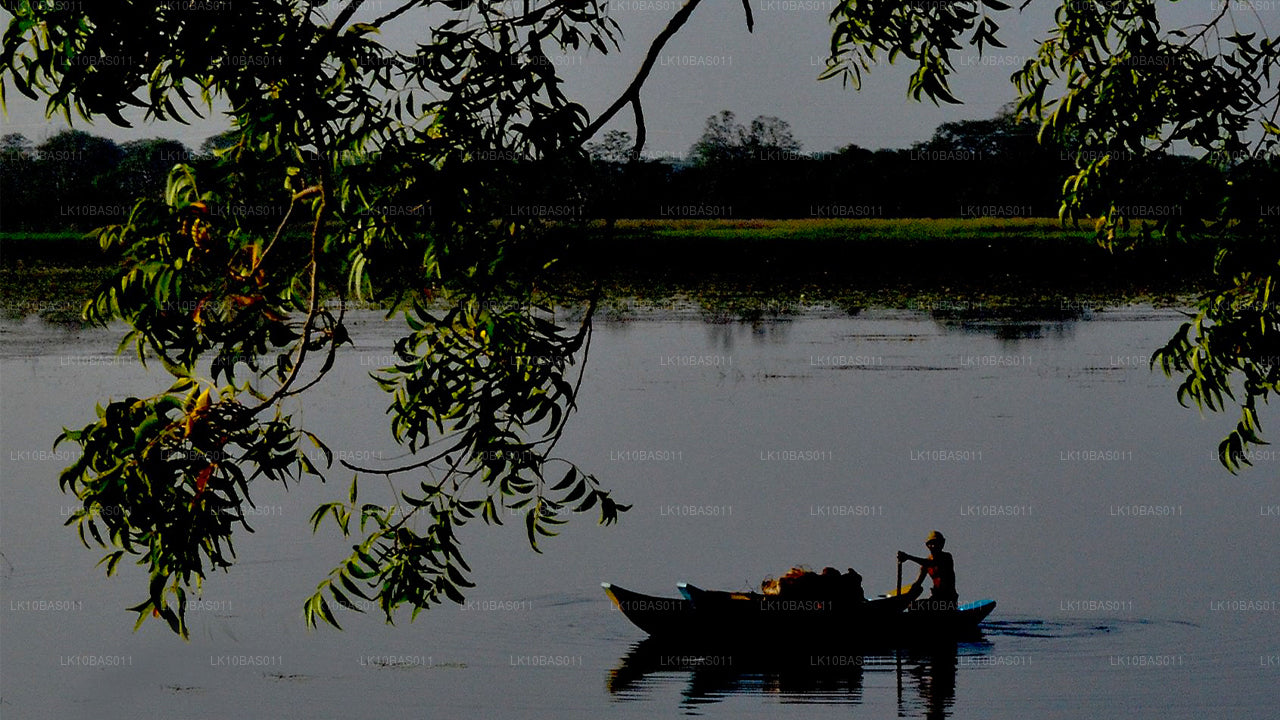 Butterfly Trail (11 días)
