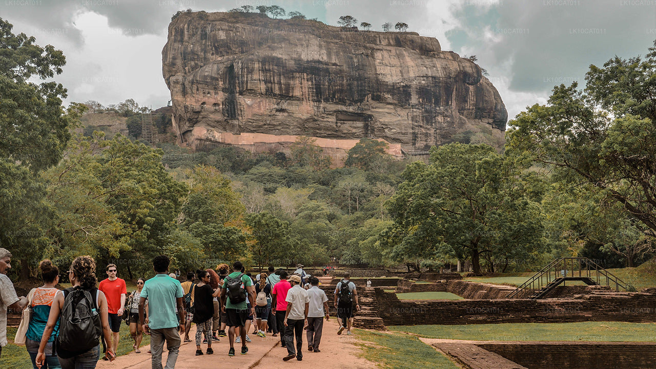 Explore, relájese y rejuvenezca (12 días)