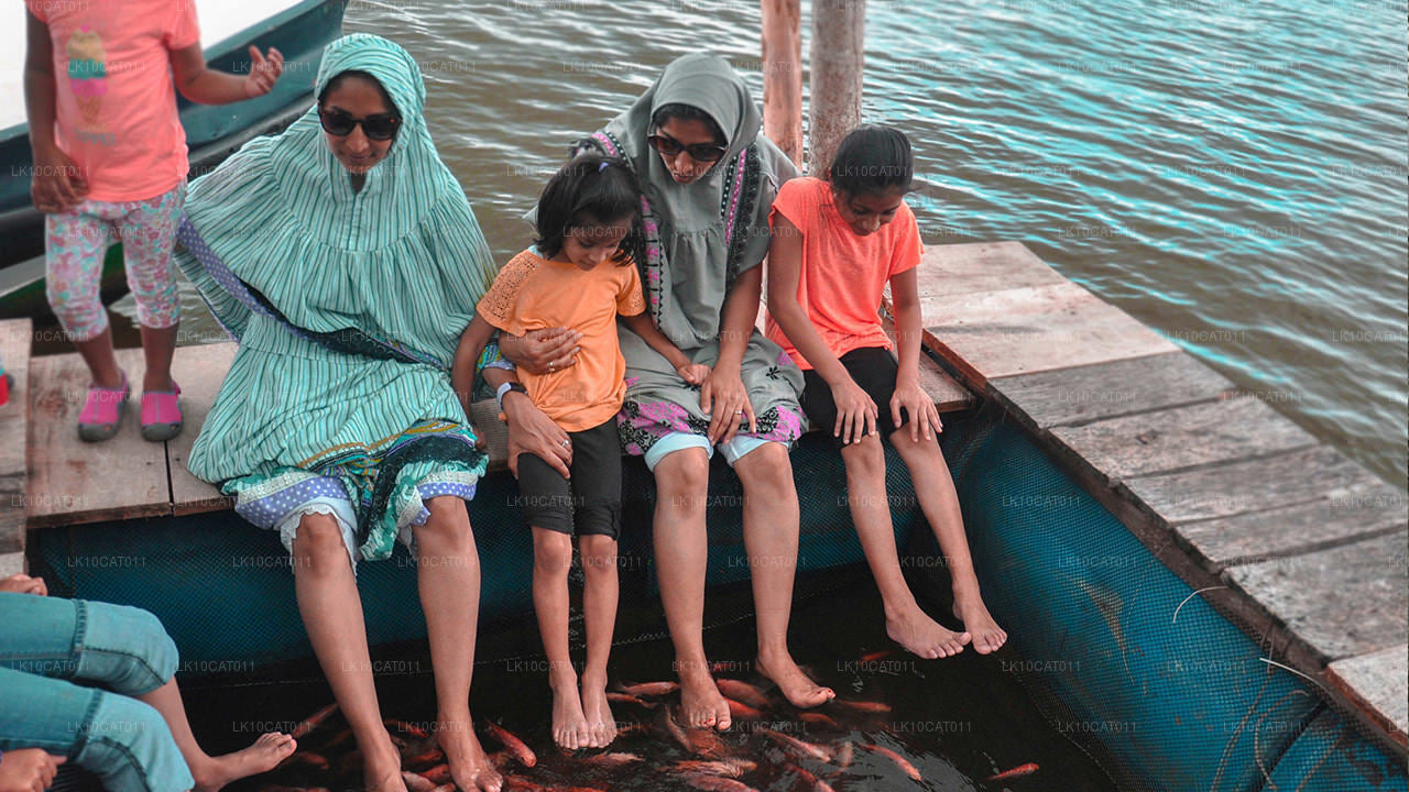 Explore, relájese y rejuvenezca (12 días)