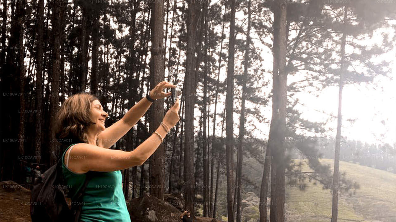 Relajación y aventura (12 días)