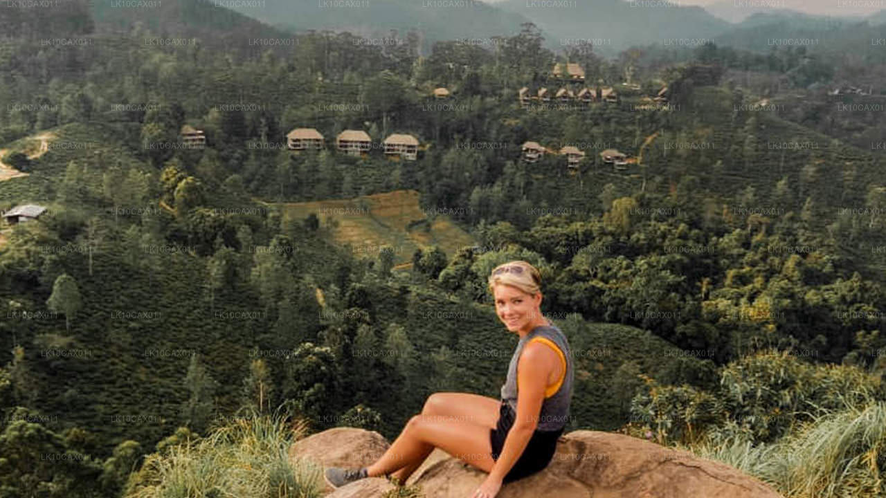 Aventura con un toque diferente (12 días)