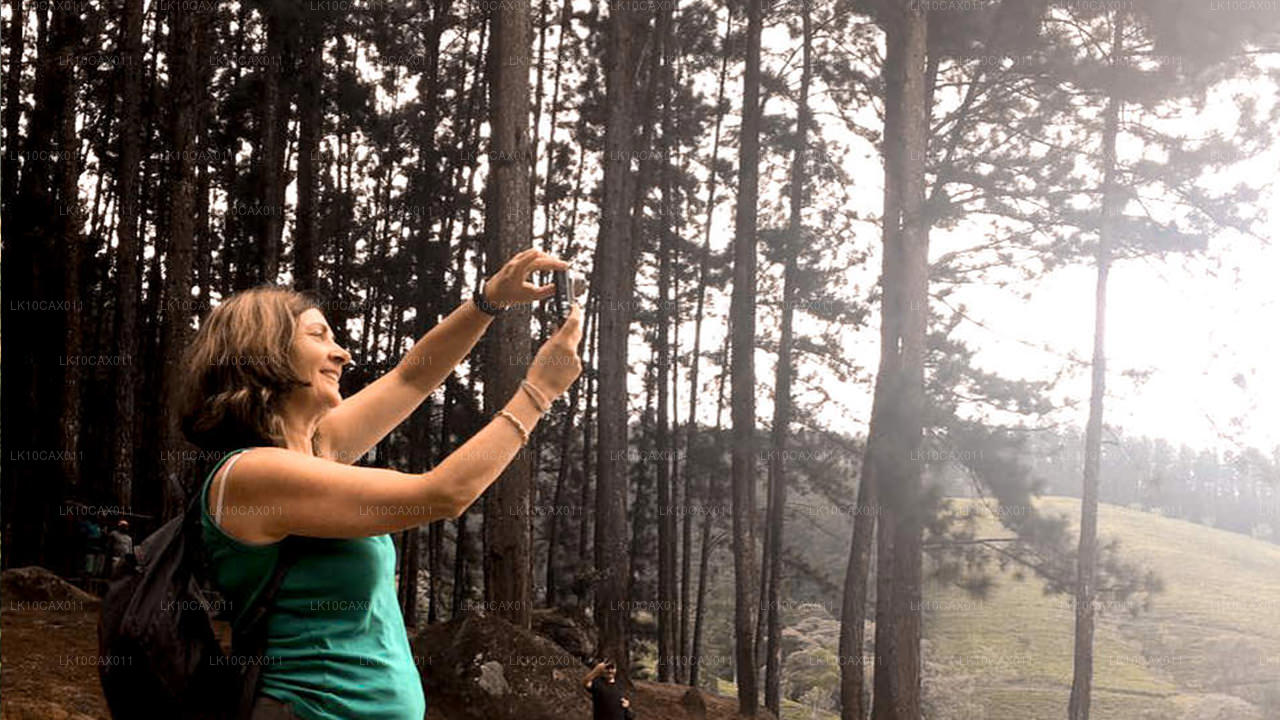 Aventura con un toque diferente (12 días)