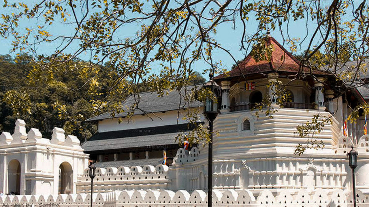 Tour de peregrinación budista (13 días)