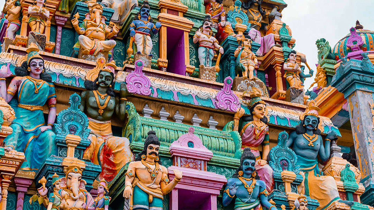 Tour de peregrinación budista (13 días)