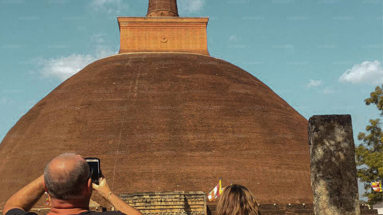 Costa y cultura (13 días)