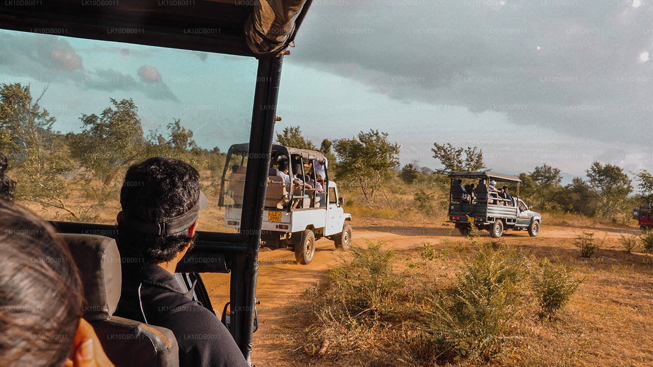 Adviento en Ceilán (13 días)