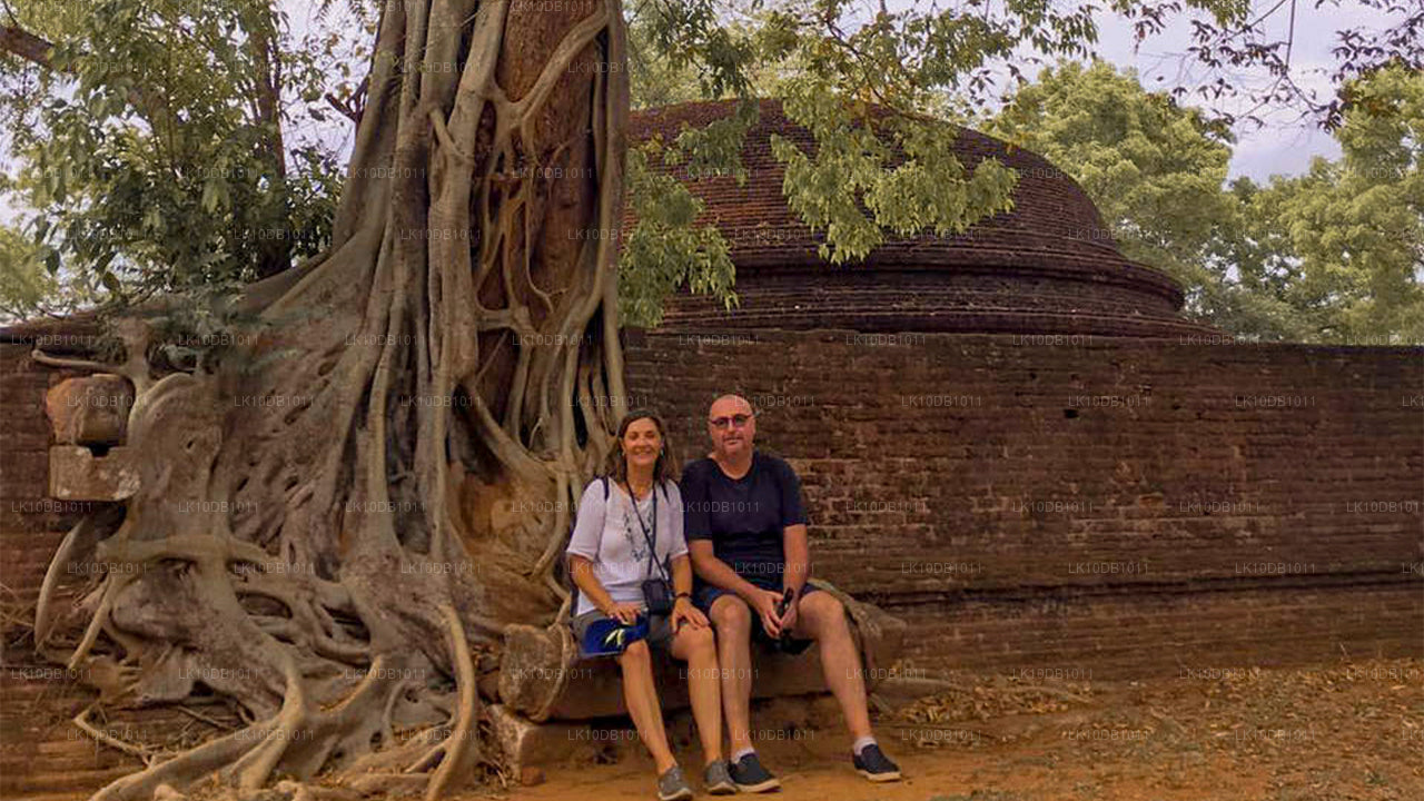 Gloriosa Ceilán (13 días)