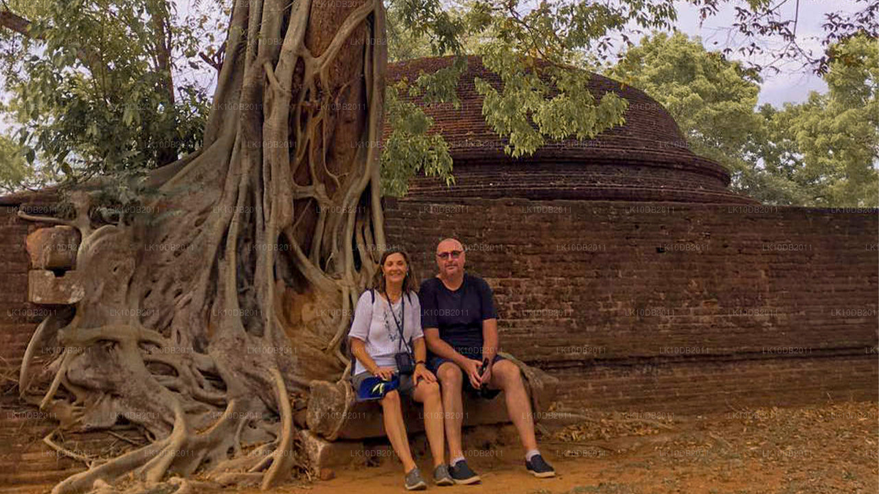 Cuentos de Taprobane (13 días)