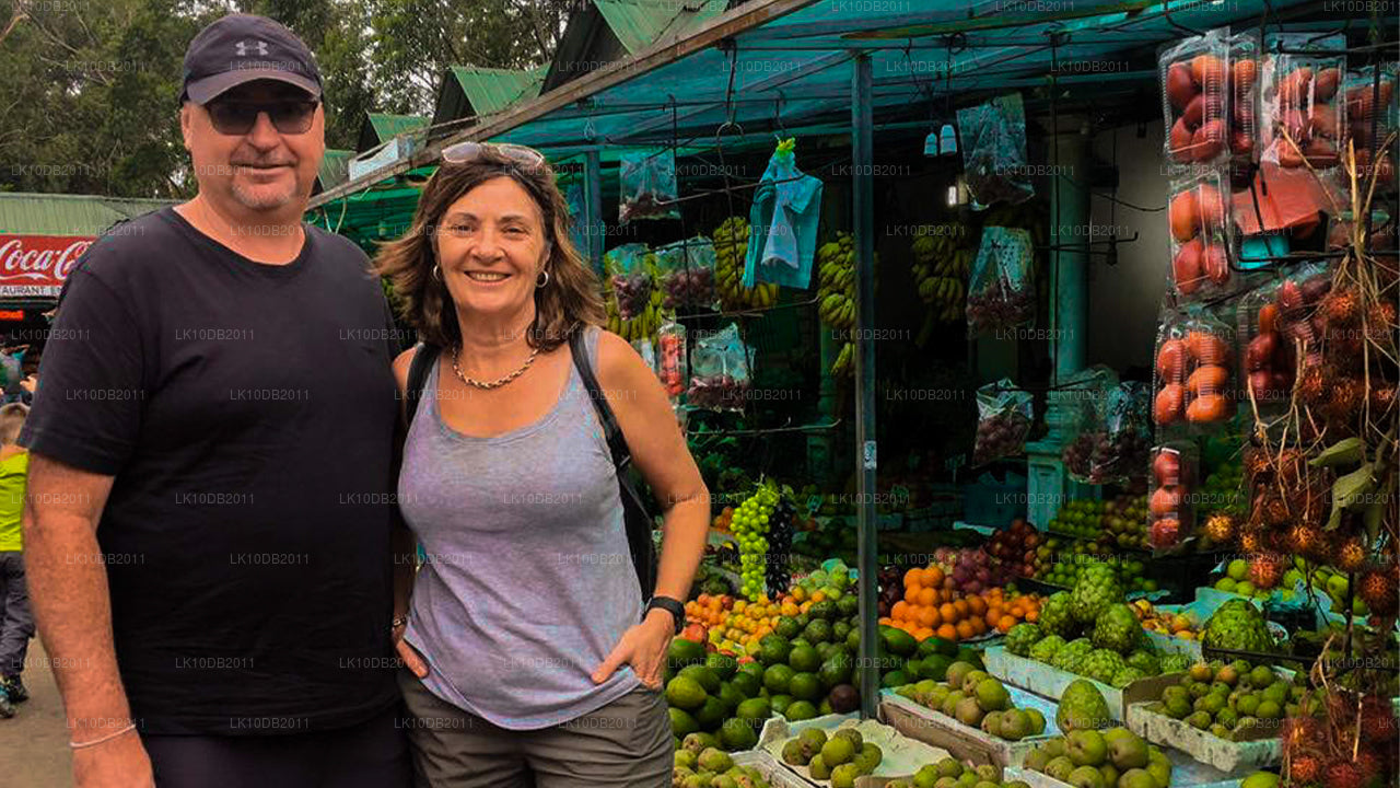 Cuentos de Taprobane (13 días)