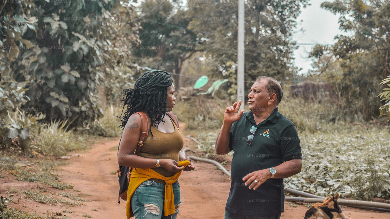 Ruta por Ceilán (13 días)