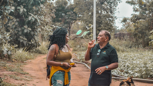 Ruta por Ceilán (13 días)