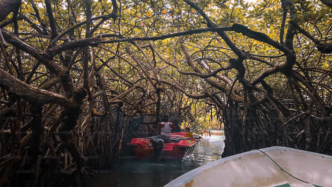 Ruta por Ceilán (13 días)