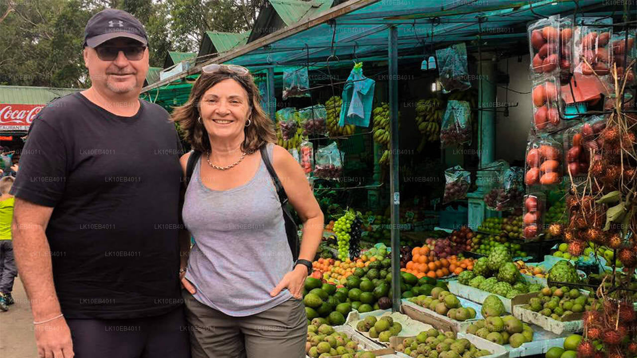 Patrimonio y playa (14 días)