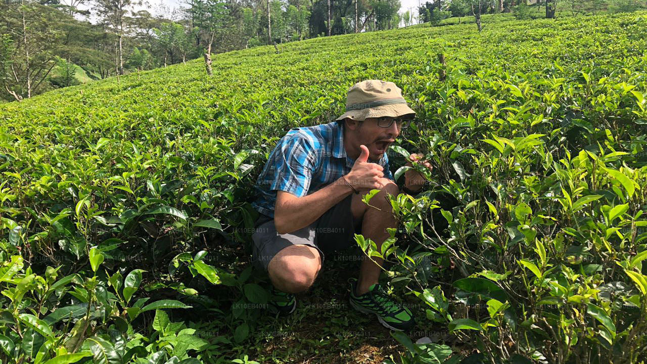 Patrimonio y playa (14 días)