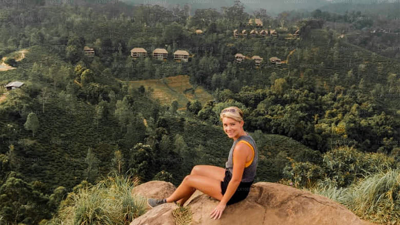 Patrimonio y playa (14 días)