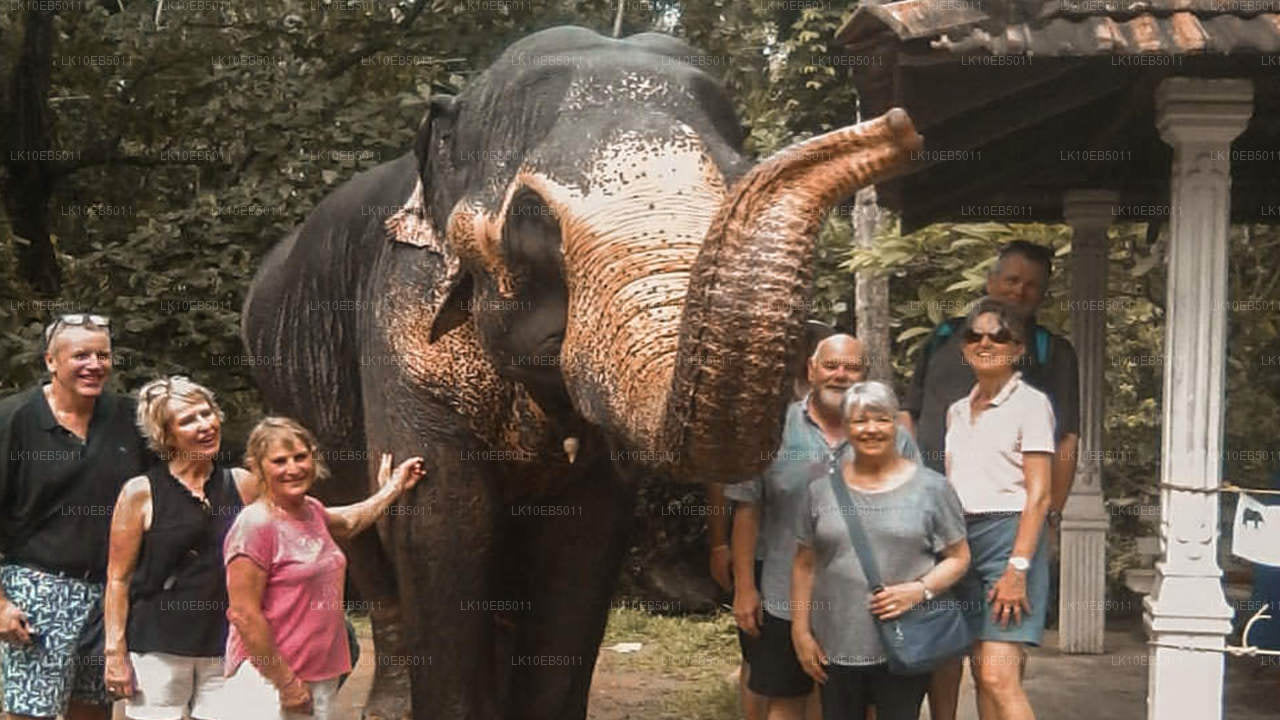 Sensación del mundo (14 días)