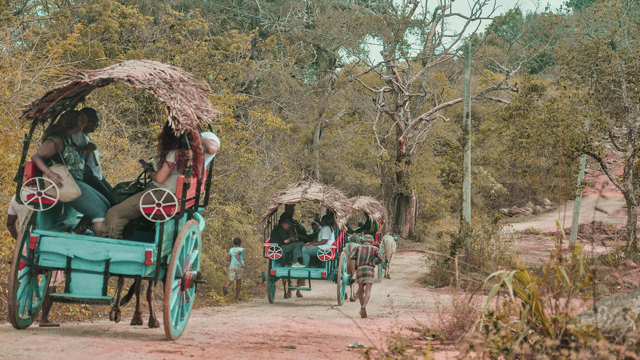 Sensación del mundo (14 días)