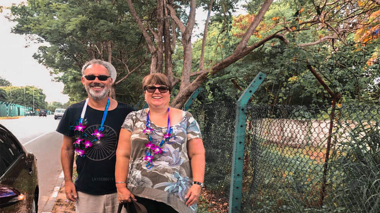 Libertad espiritual (14 días)