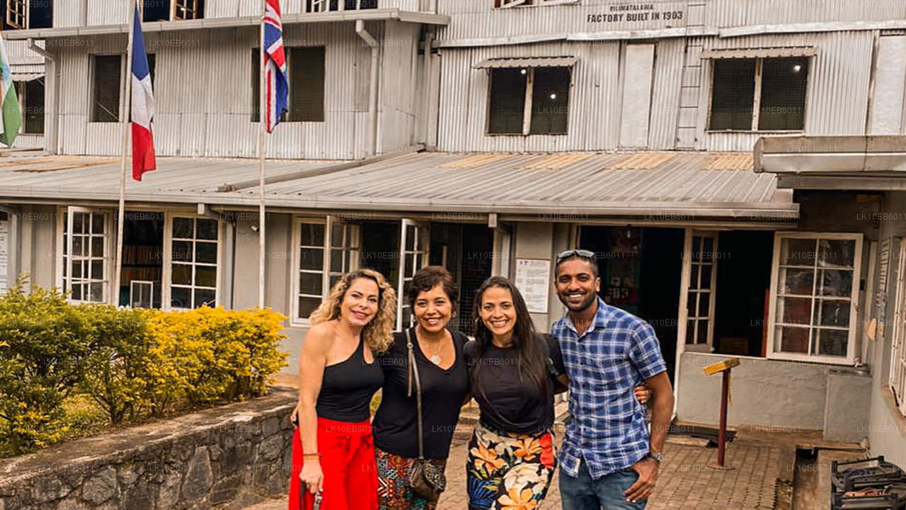 Libertad espiritual (14 días)