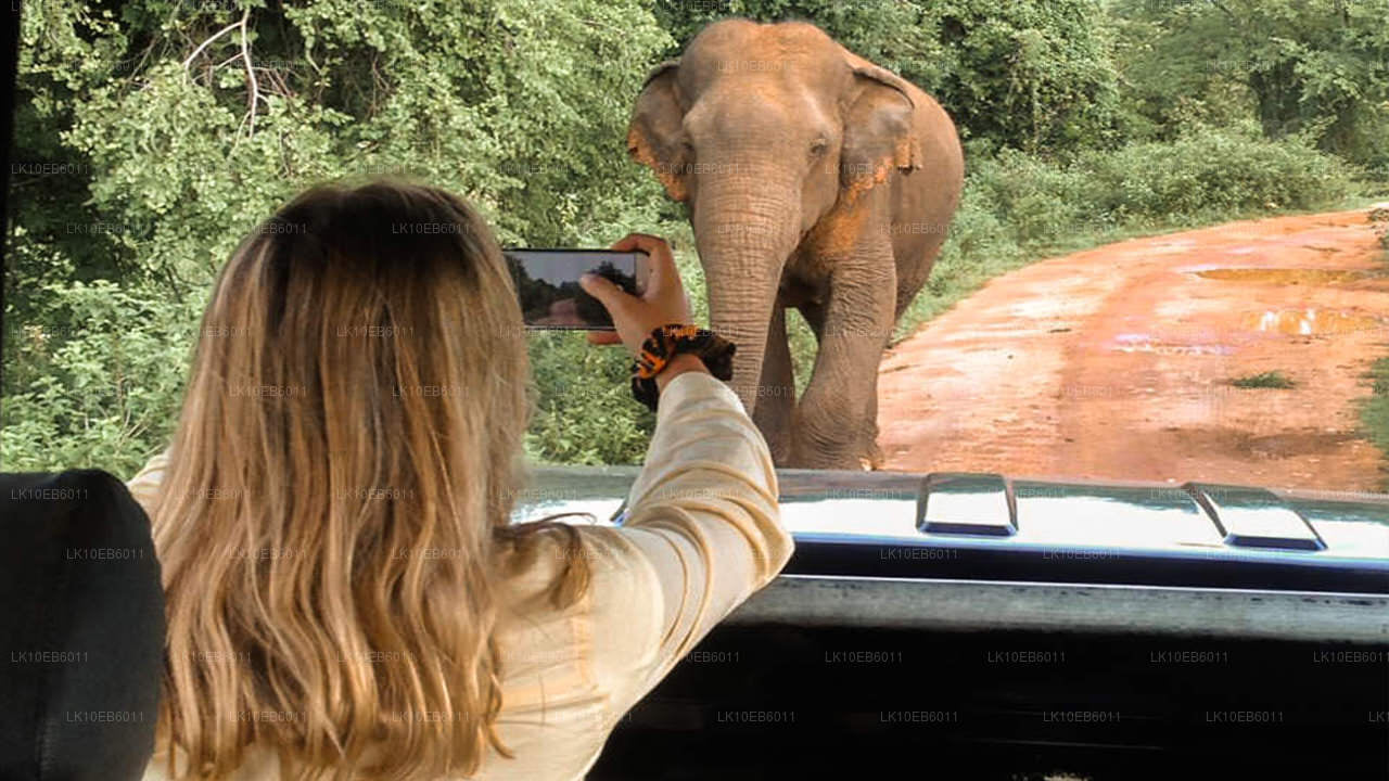 Libertad espiritual (14 días)