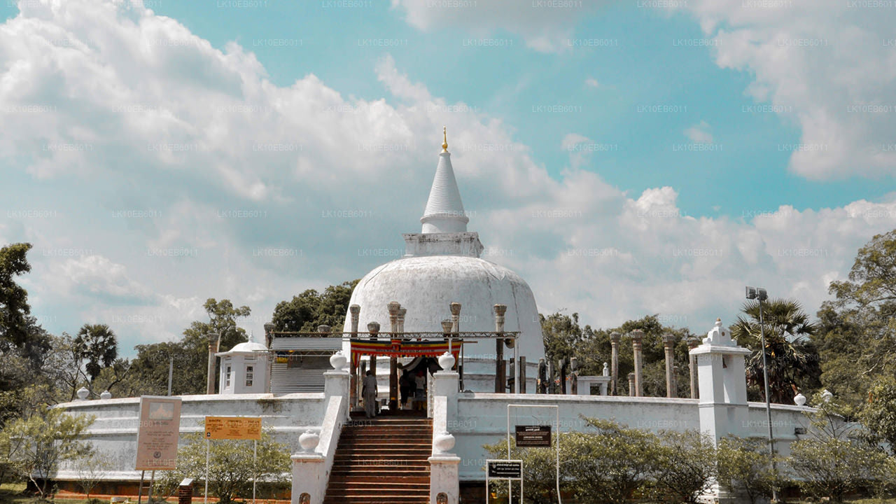 Libertad espiritual (14 días)