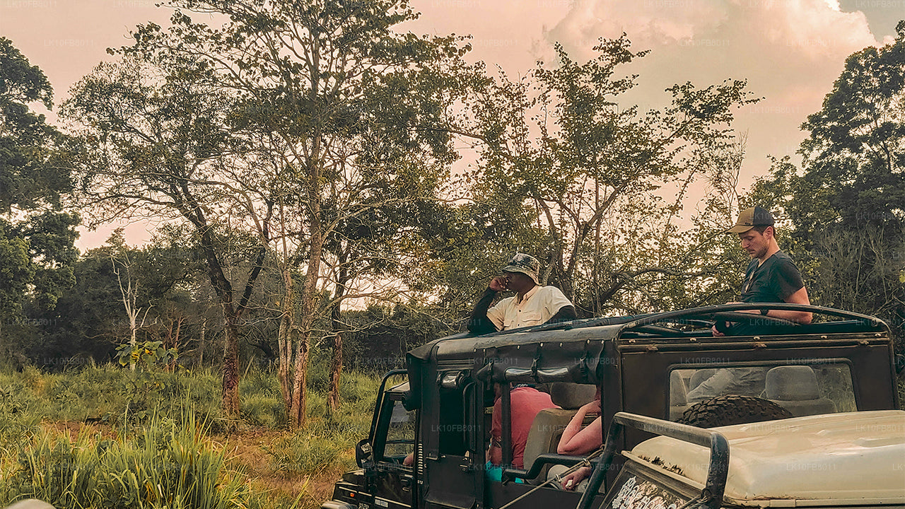 Viajes ocultos (15 días)