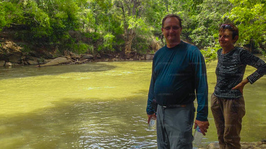 Viajes ocultos (15 días)