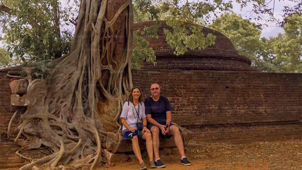 Alivio y relajación (15 días)