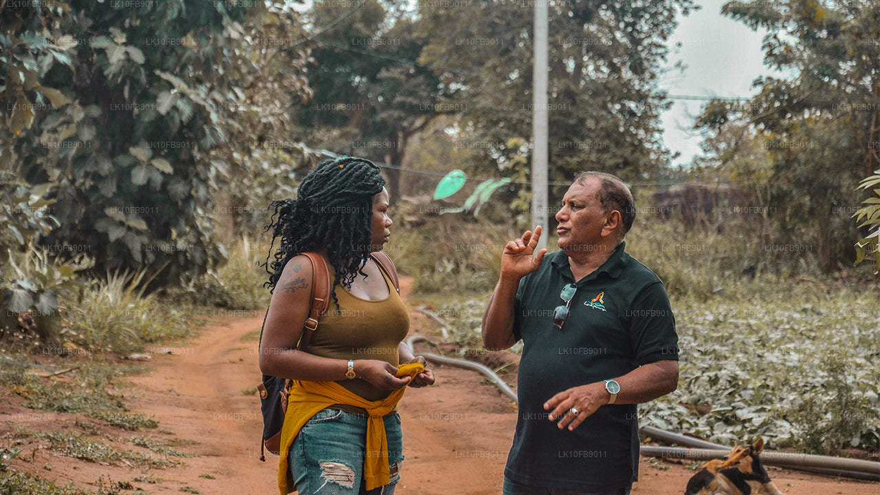 Alivio y relajación (15 días)