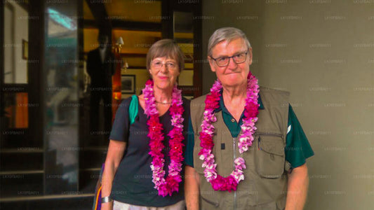 Serendipity Trail (15 días)