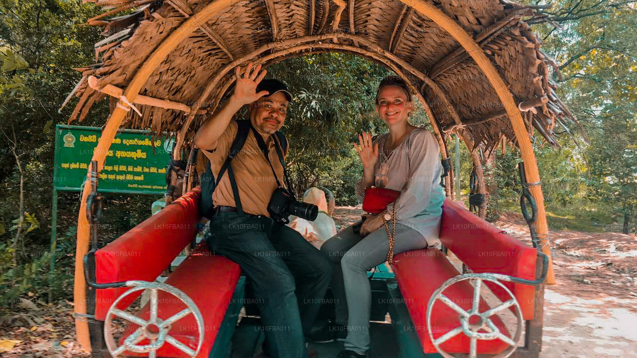 Serendipity Trail (15 días)