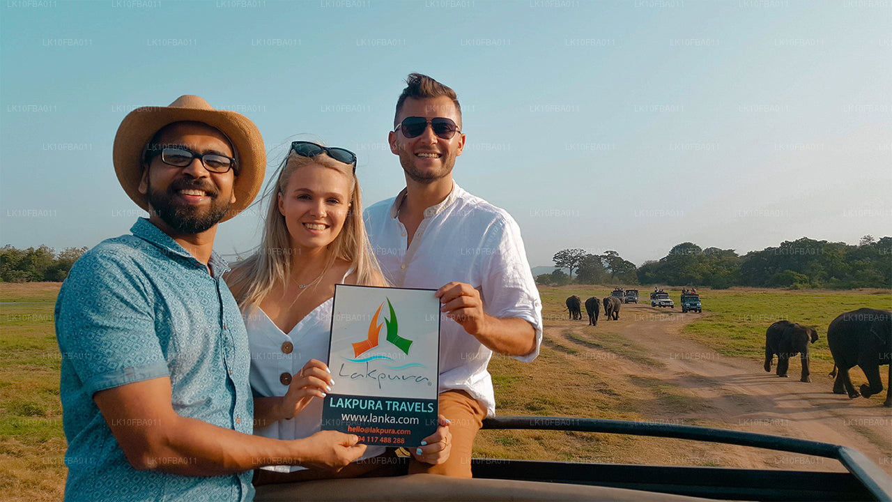 Serendipity Trail (15 días)