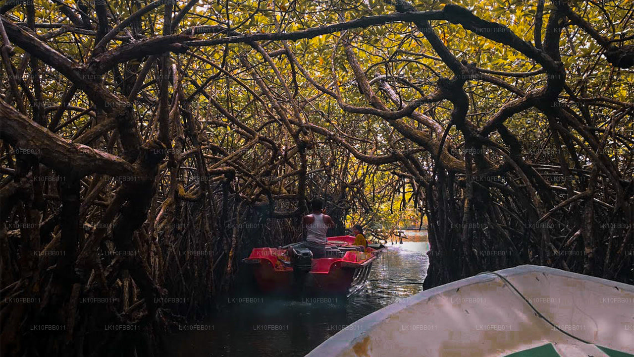 Lo mejor de la naturaleza (15 días)