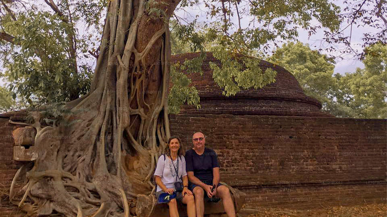 Pequeño milagro (15 días)