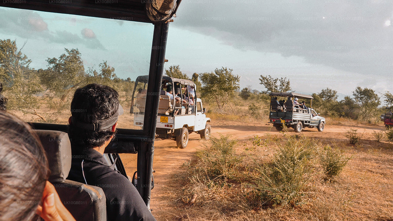 Lo mejor de Ceilán (16 días)