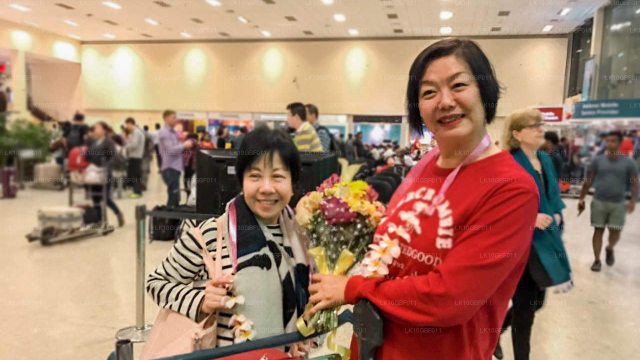 Descubriendo Serendib (16 días)