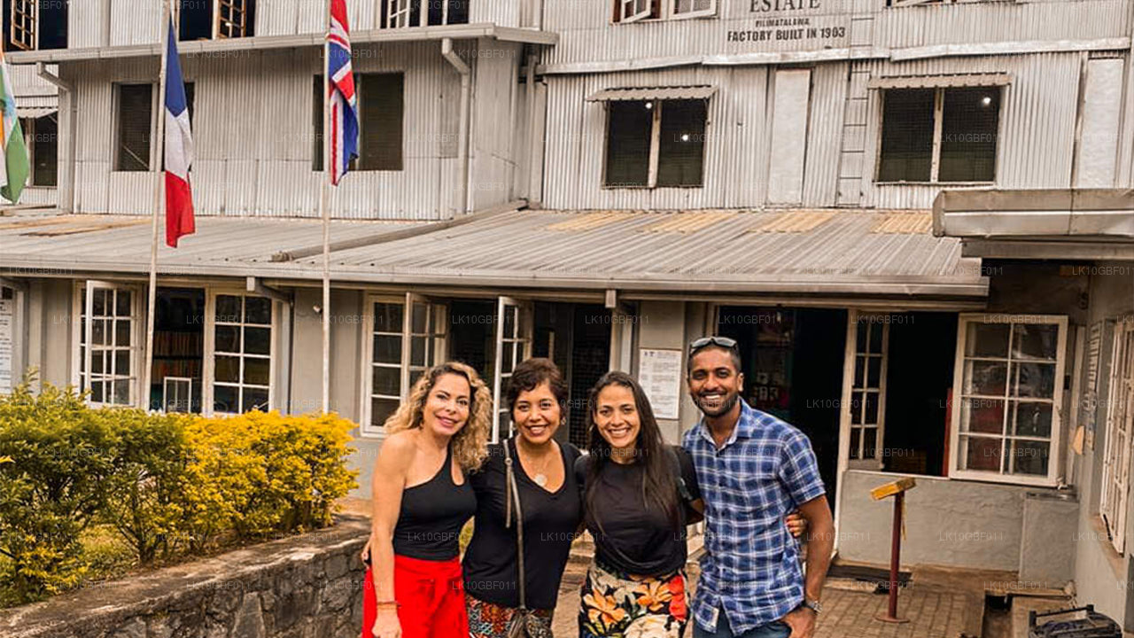 Descubriendo Serendib (16 días)