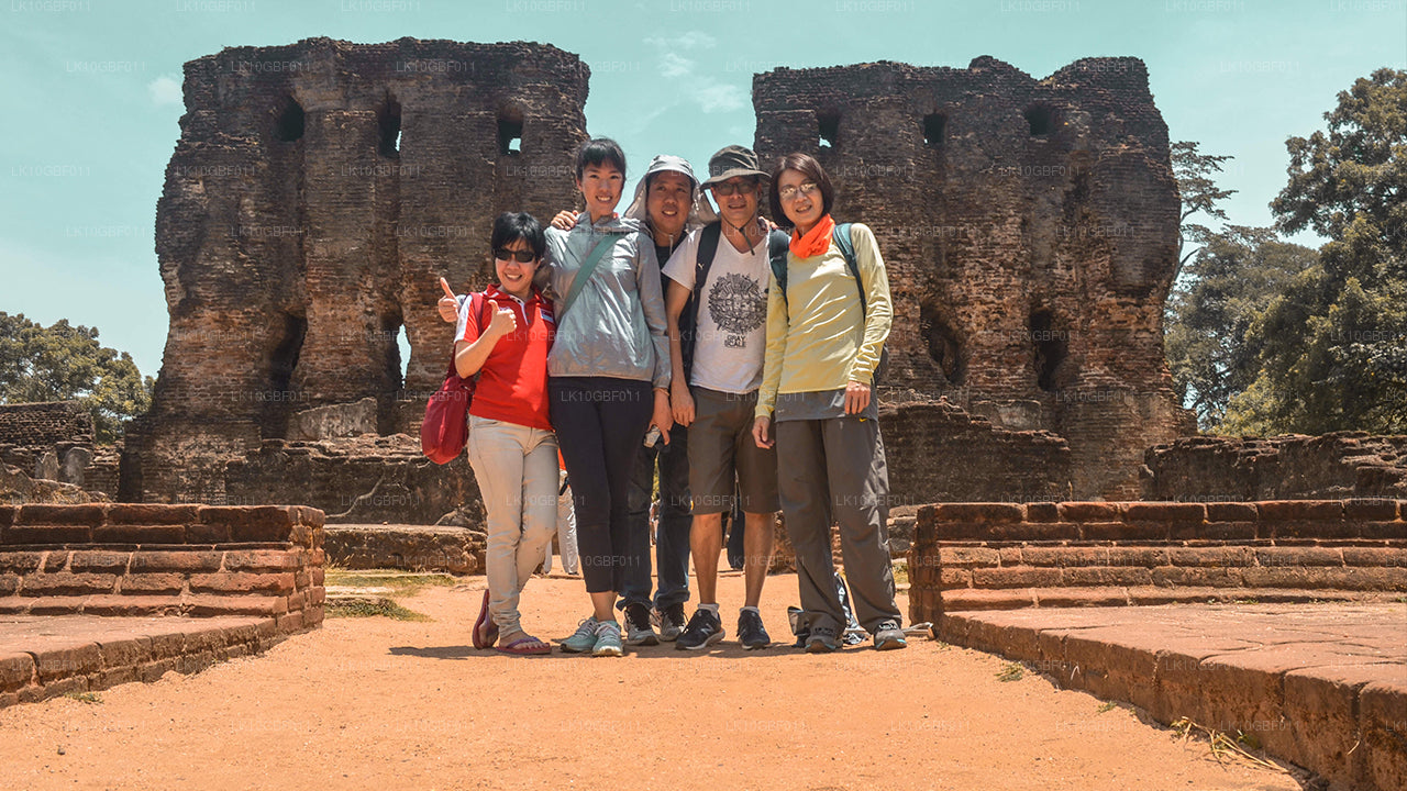 Descubriendo Serendib (16 días)