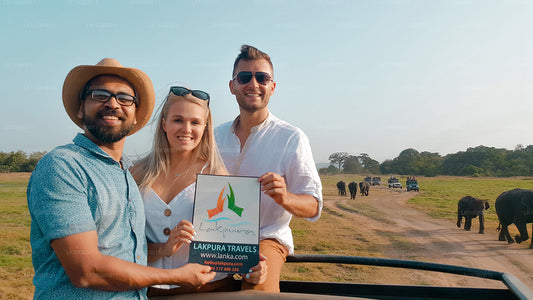 Joyas de Sri Lanka (16 días)