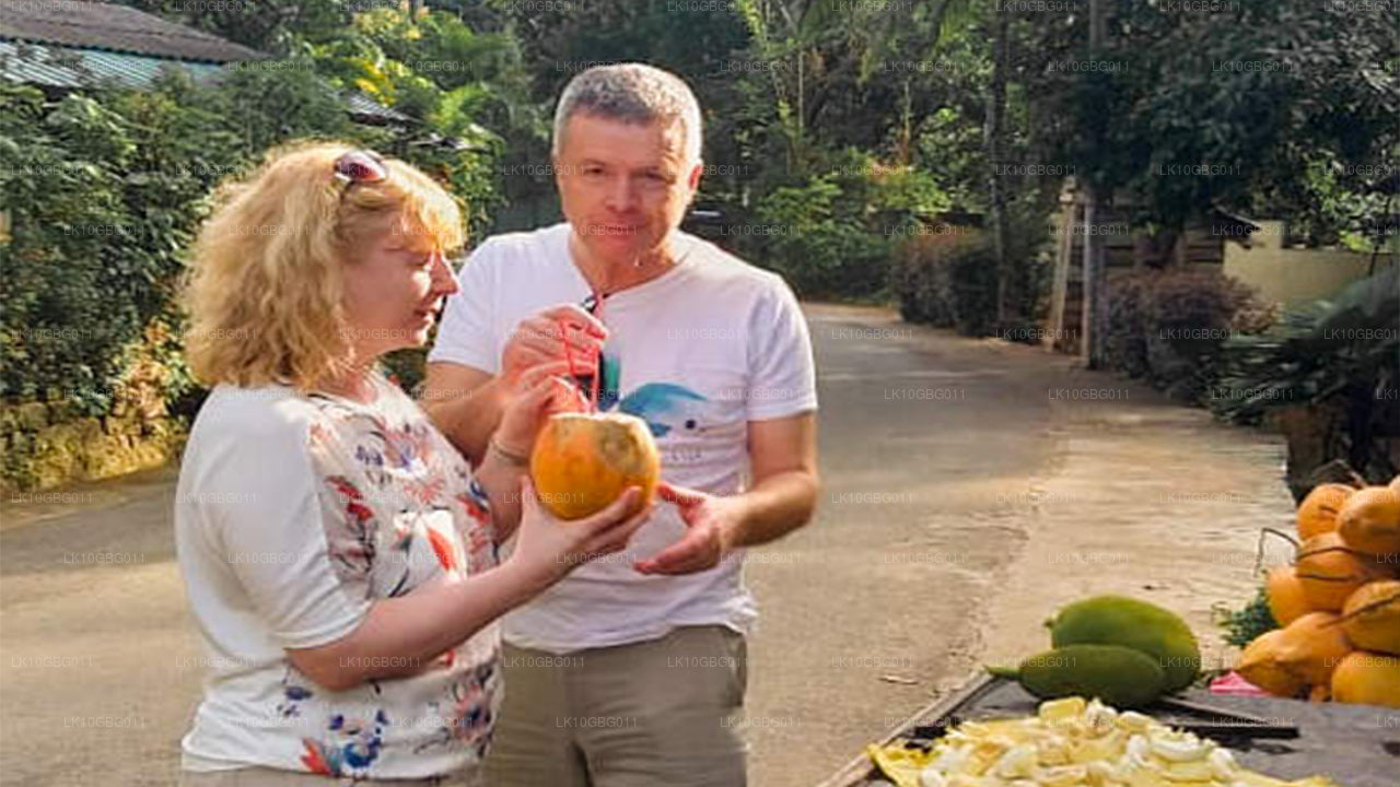 Joyas de Sri Lanka (16 días)