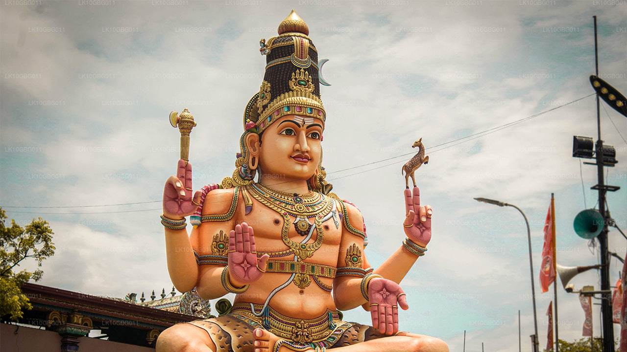 Joyas de Sri Lanka (16 días)