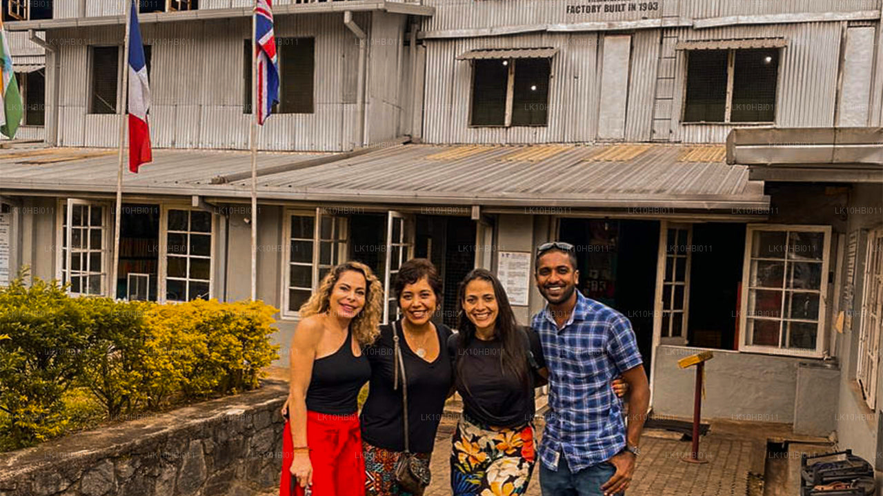 Paso a paso por el paraíso (17 días)