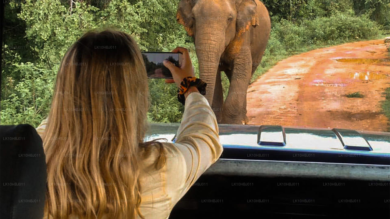 Sri Lanka definitiva (17 días)