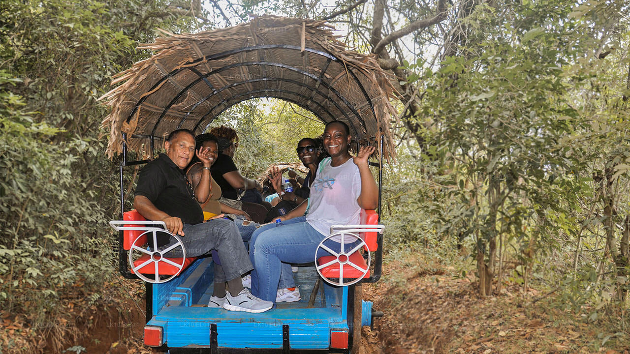 La encantadora Sri Lanka (18 días)