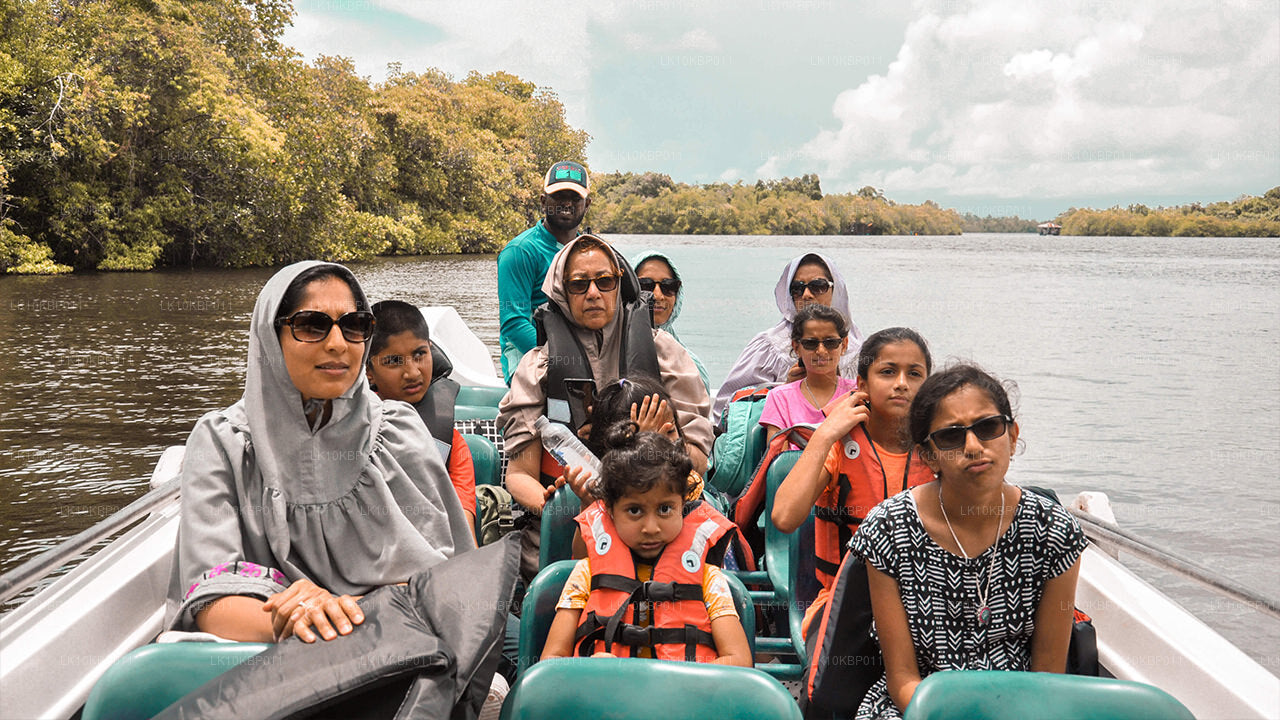 Dive On Excitement (20 días)