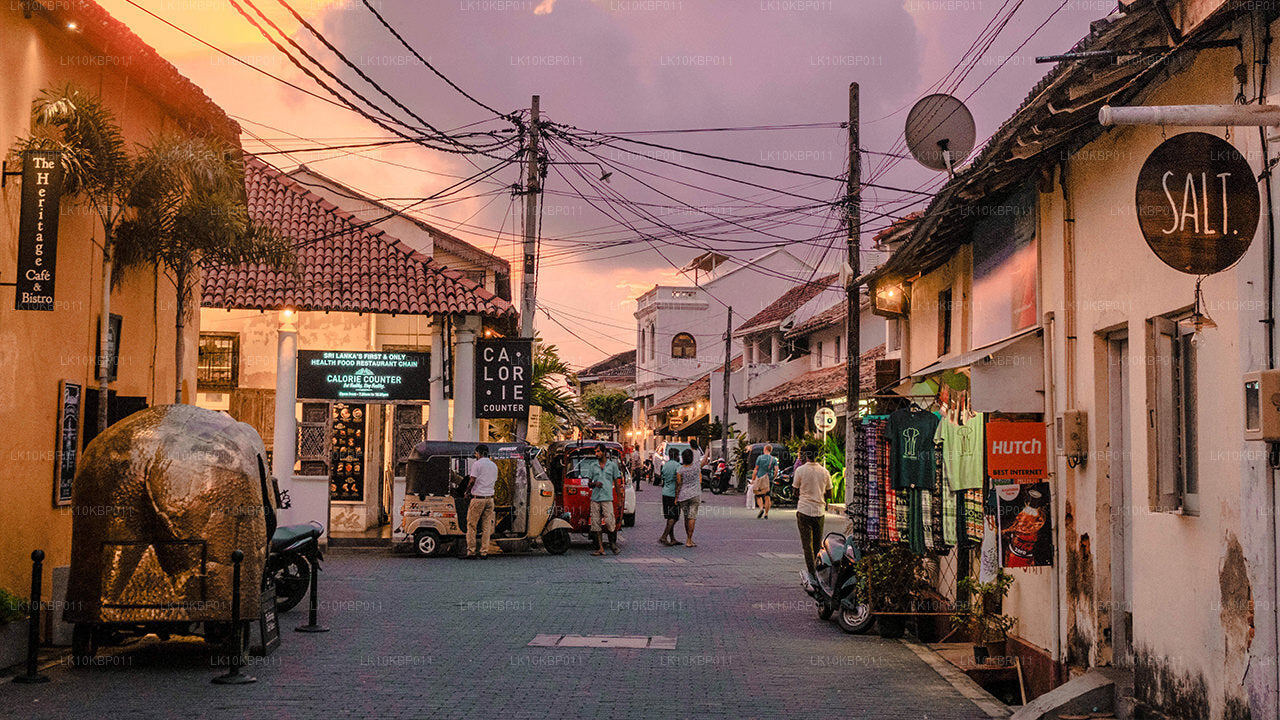 Dive On Excitement (20 días)